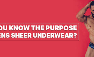 Do you know the purpose of mens sheer underwear ?
