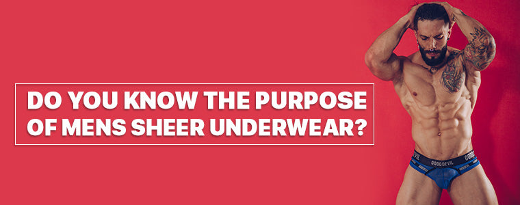 Do you know the purpose of mens sheer underwear ?