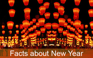 5 Facts about New Year | Good Devil