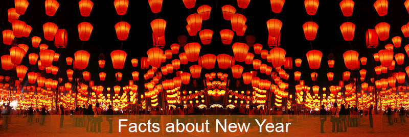5 Facts about New Year | Good Devil